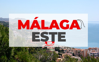 Control de plagas Málaga Este 