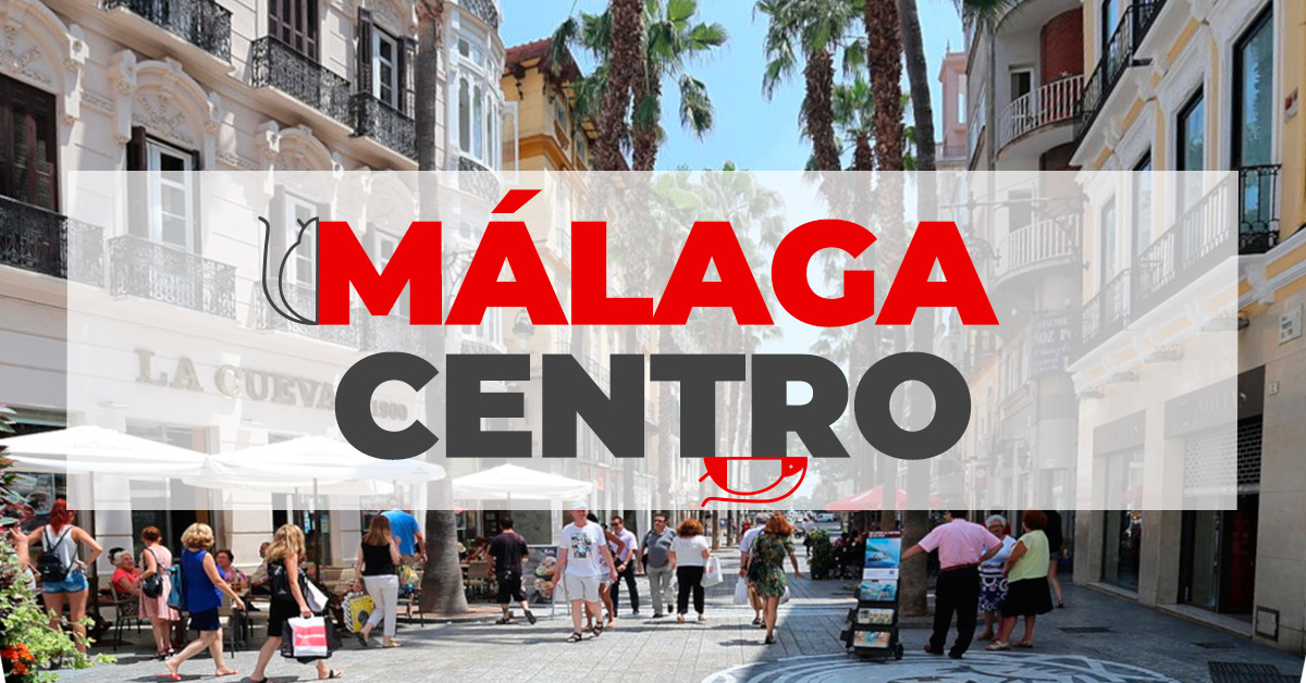 Control de plagas Málaga Centro