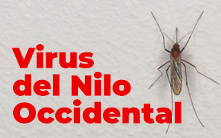 Virus del Nilo Occidental