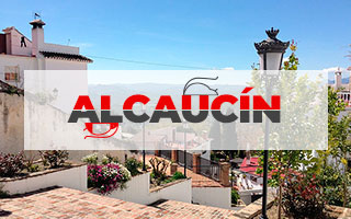 Control de plagas Alcaucín