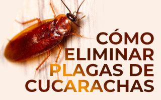 como eliminar plagas de cucarachas