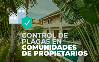 comunidad de propietarios