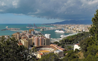 control de plagas en Málaga