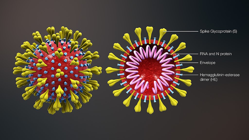 Mapa coronavirus