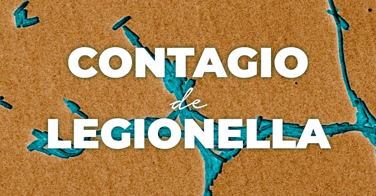 legionella contagio