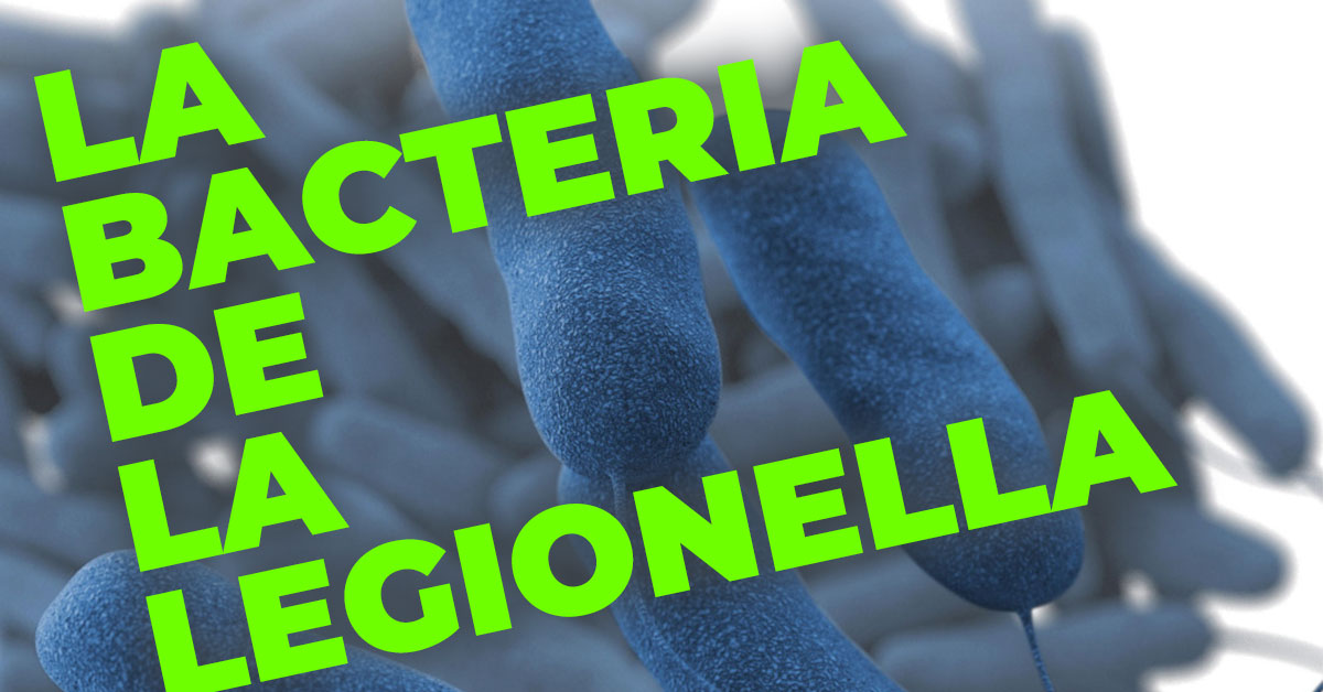 legionella bacteria