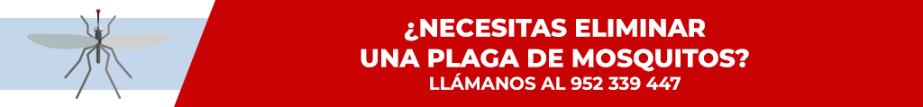 mosquitos llamanos