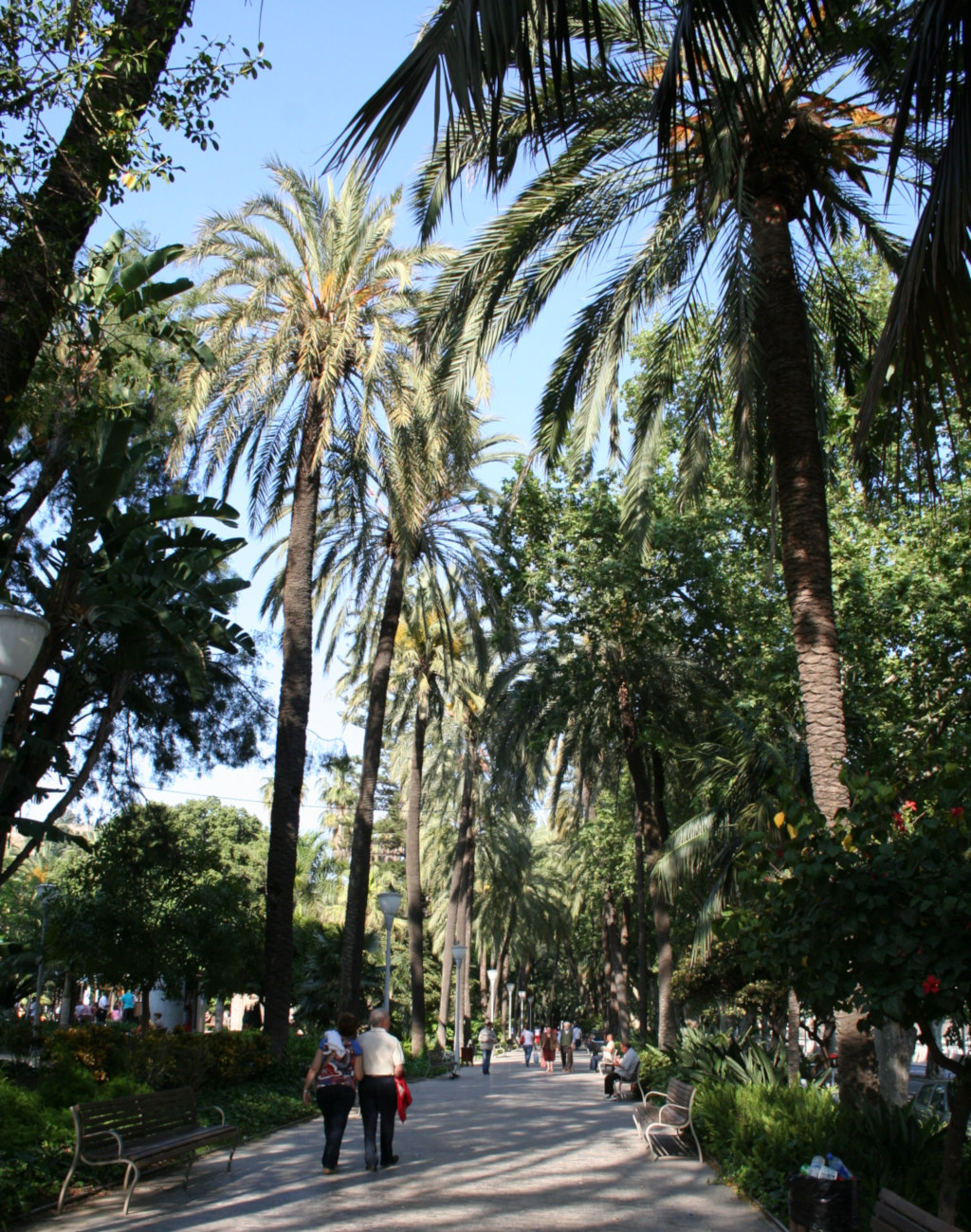 parque de Málaga palmeras