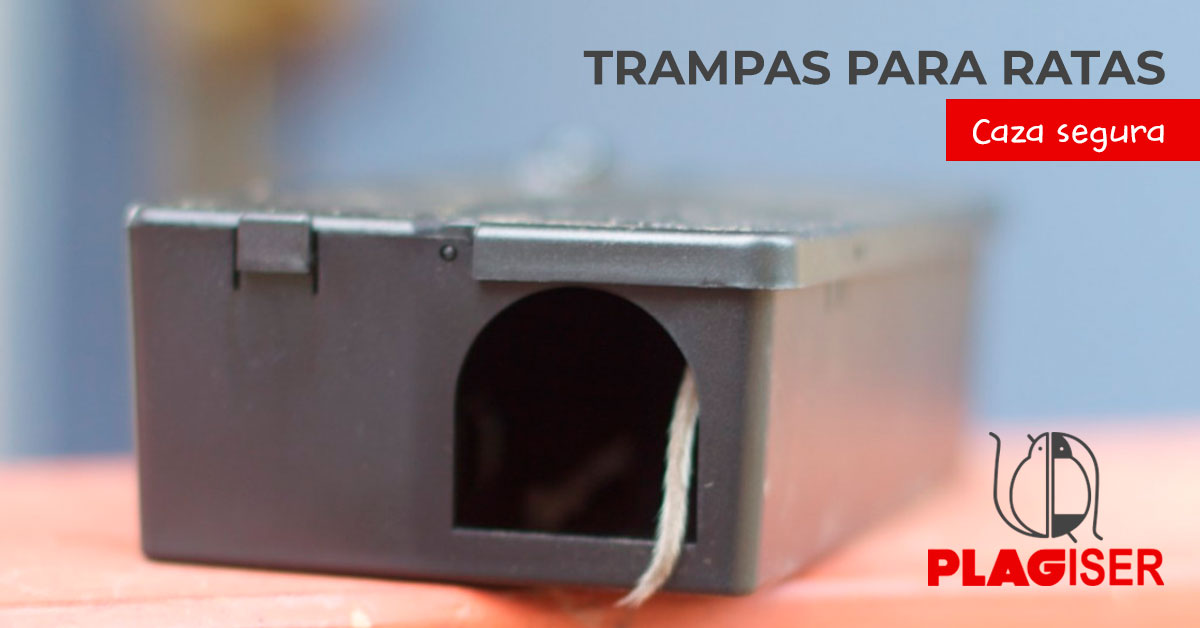 Las alternativas dentro de las trampas para ratas para un hogar - Empresa 