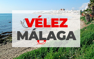 Control plagas Vélez Málaga