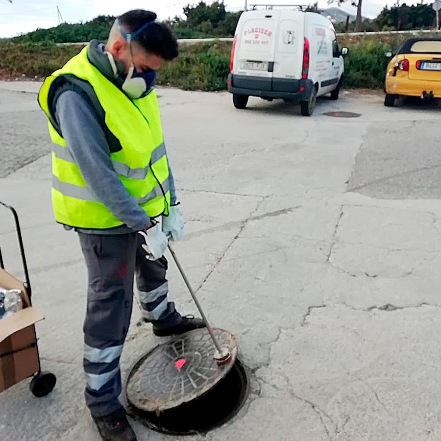 desratizacion malaga