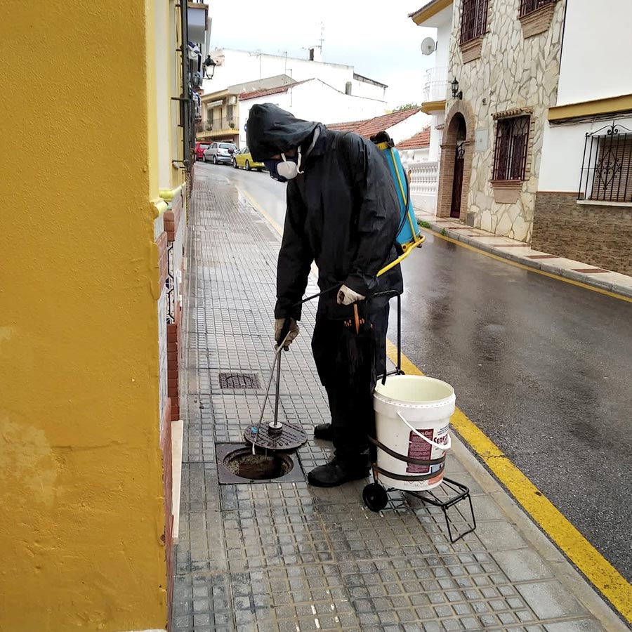 fumigaciones malaga