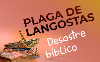 plaga de langostas