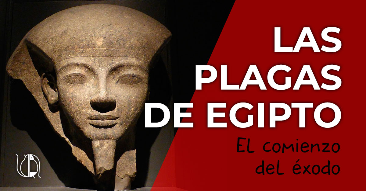 plagas de Egipto