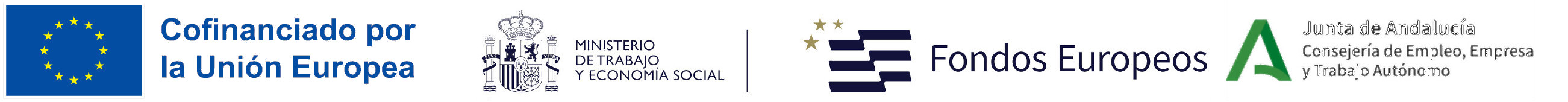 logo fse