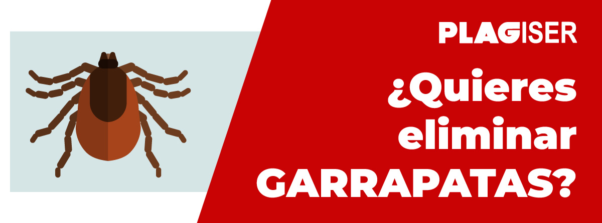 eliminar garrapatas